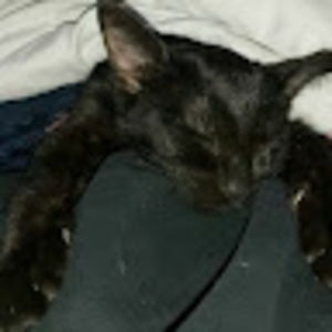 Meet your Posher, Melo